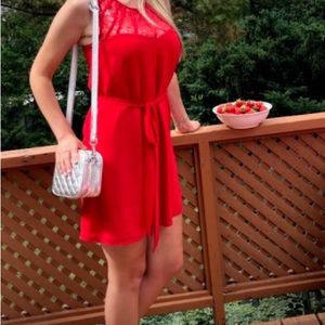 Naked Zebra Red Dress